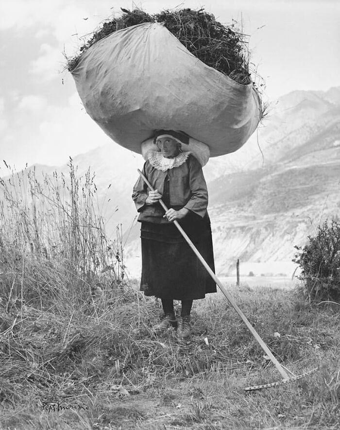 Elderly woman carrying large bundle on head while holding rake in a rural setting historical photo with interesting backstory.