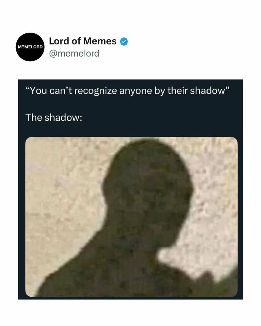Twitter meme from Lord of Memes showing a shadow silhouette illustrating memes to break your doomscrolling cycle.