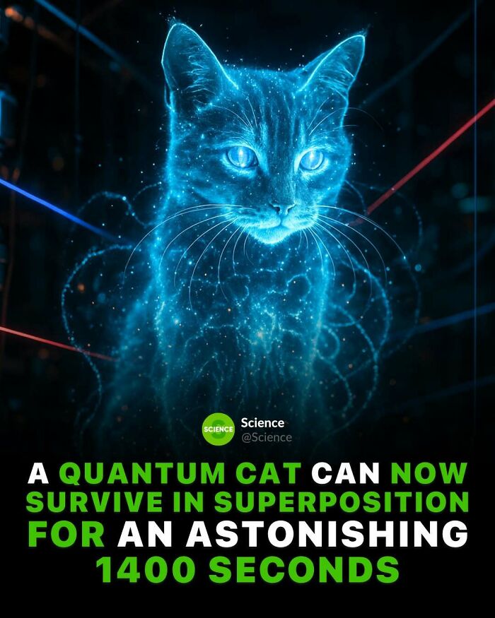 Glowing digital cat illustration representing quantum superposition in science facts about the world and science.