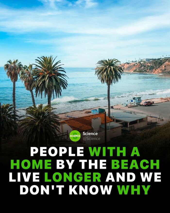 Coastal view with palm trees and ocean, illustrating interesting science facts about living longer by the beach.