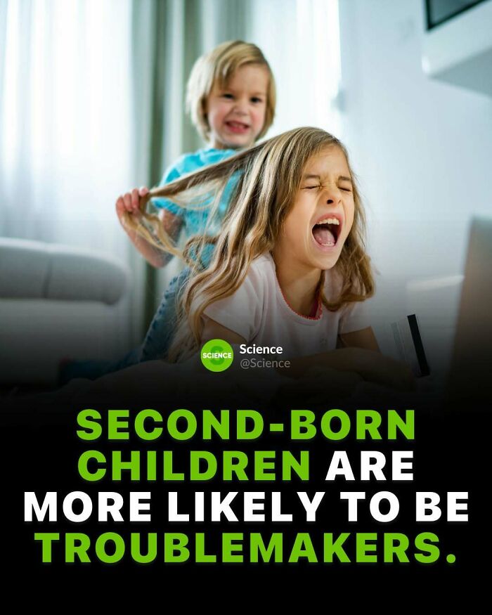 Two children playfully interacting with one pulling the other's hair, illustrating cool and interesting facts about the world and science.