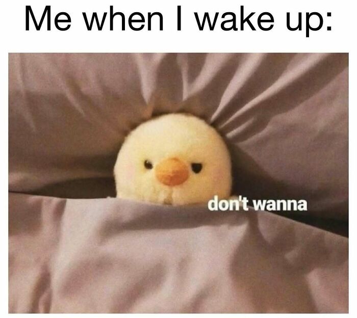 Cute chick tucked in bed with a grumpy face, expressing the reluctance to wake up in funny meme for laughter and good vibes.