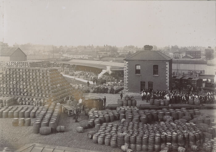 Historical photo showing hundreds of wooden barrels stacked outdoors near a warehouse with workers gathered around.