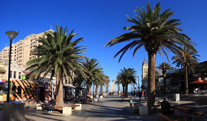 Palm-lined city street under clear blue sky, people walking and relaxing, evoking scenes of baffling unsolved mysteries.