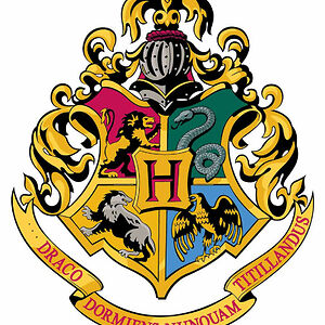 sabreensidhu56 avatar