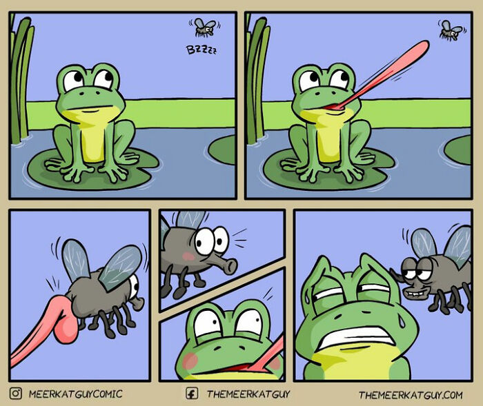 Cartoon frog on a lily pad tries to catch a buzzing fly with its tongue in a humorous animal comic panel.