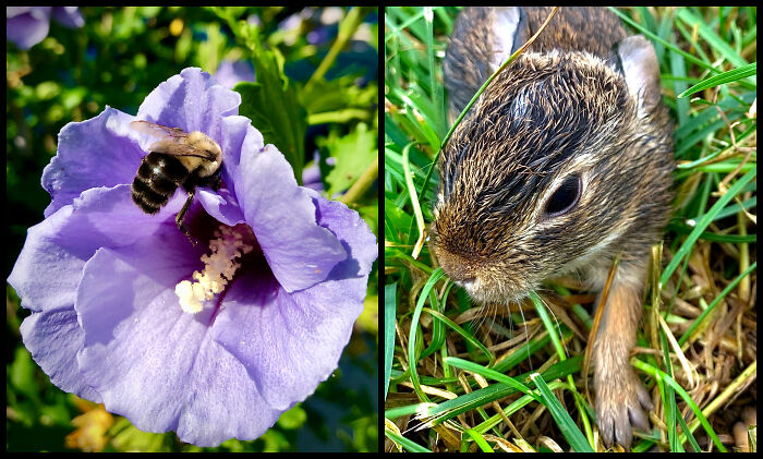 The Visual Poetry Of Nature Seen Through Ilene&rsquo;s Lens