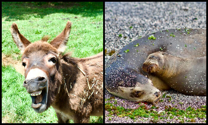 The Visual Poetry Of Nature Seen Through Ilene&rsquo;s Lens