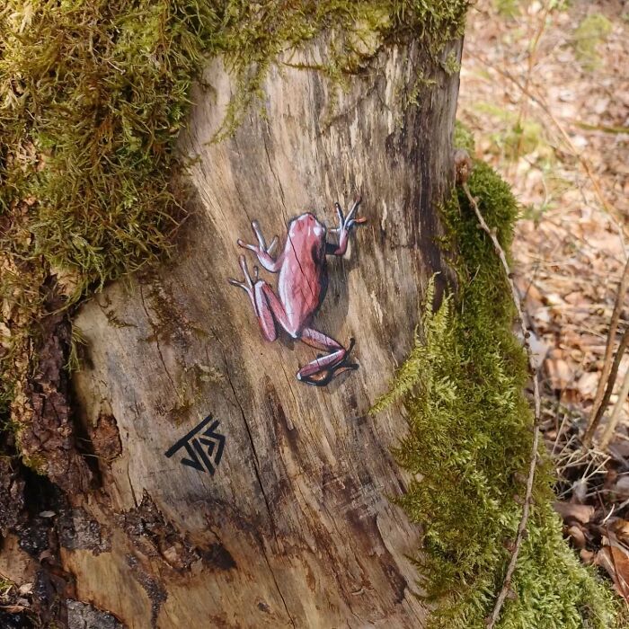 Graffiti of a frog painted on a tree stump blending with moss and natural surroundings, showcasing street art interaction.