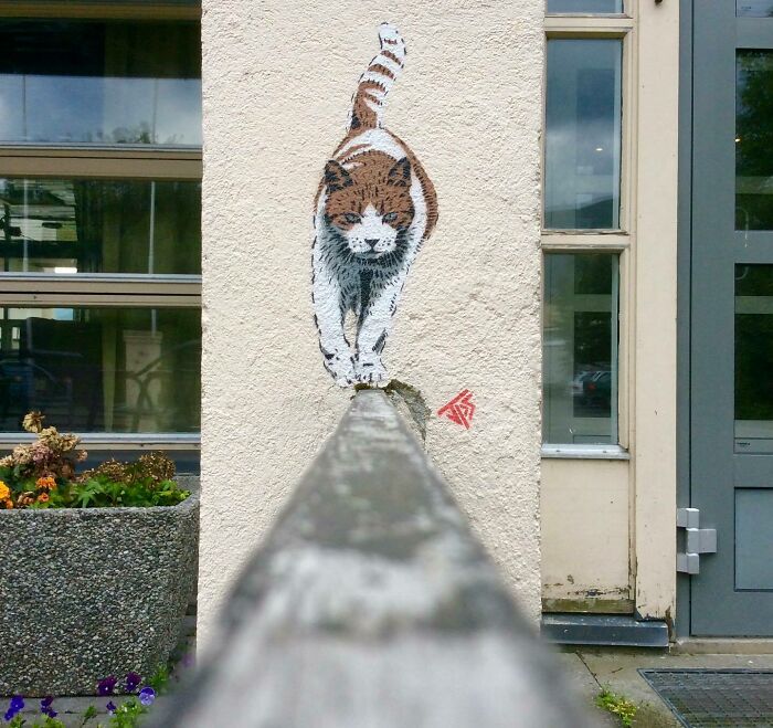 Graffiti cat art interacts with surroundings, balancing on a railing on a textured outdoor wall near windows and door.