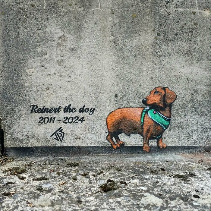 Graffiti art of a dachshund dog painted on a wall interacting with the surroundings in a creative street artwork.
