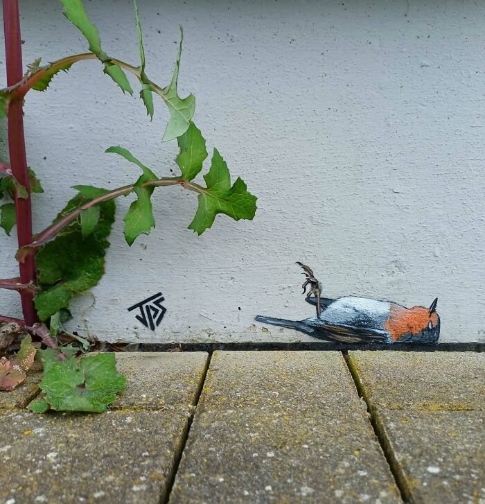 Street graffiti of a small bird painted on a wall interacting with real plants growing next to it.