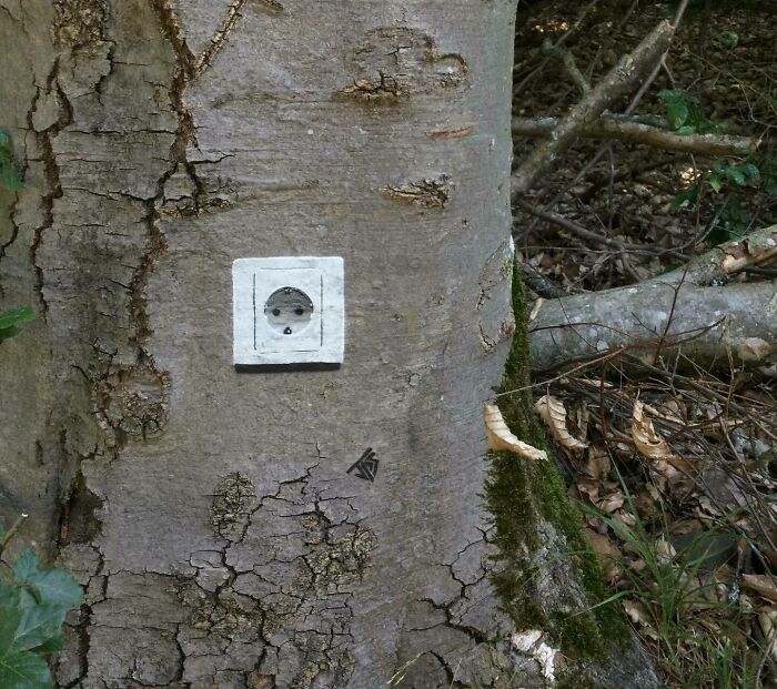 Graffiti artist creates interactive street art with a painted electrical outlet on a tree, blending creativity with surroundings.