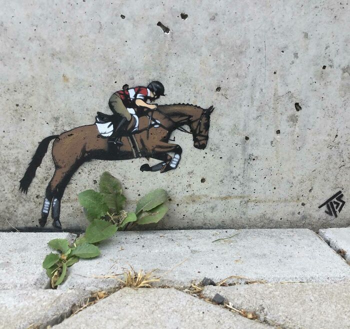 Graffiti art of a horse and rider jumping over sidewalk cracks and plants, interacting creatively with the surroundings.