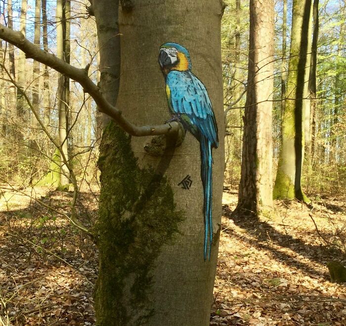 Graffiti of a colorful parrot painted on a tree trunk, creatively interacting with the natural forest surroundings.