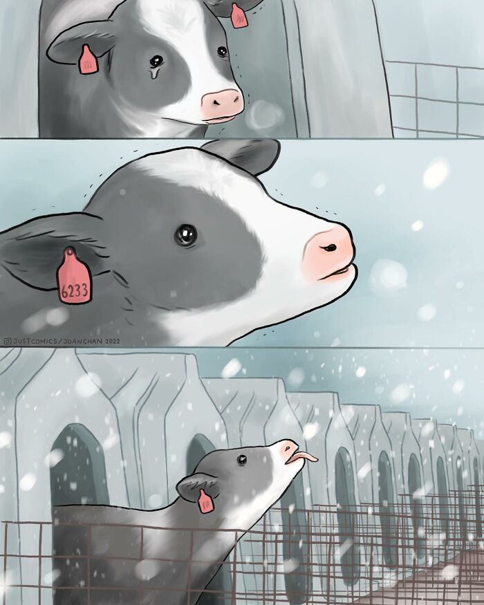 Sad calf in cold enclosure, illustrating the sad reality of many animals on this planet in an artist-created comic.