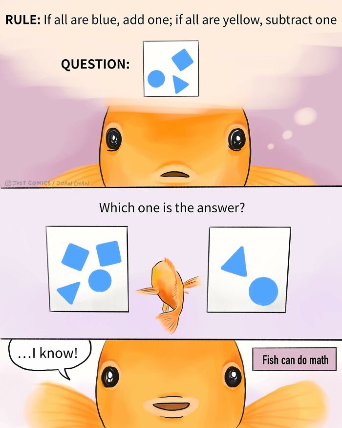 Comic by artist showing a goldfish solving a math puzzle, highlighting the sad reality of many animals on this planet.