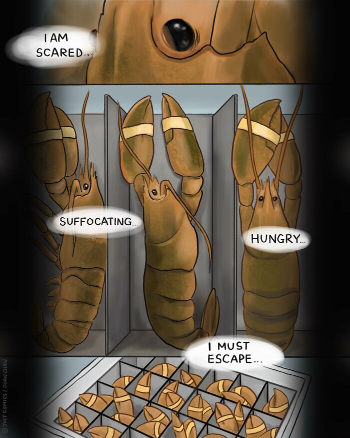 Illustration of lobsters in cramped crates expressing fear, suffocation, hunger, and desire to escape, highlighting animal realities.