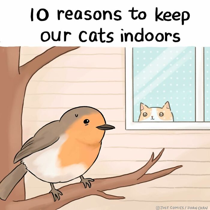 Illustration showing a bird on a branch and a cat watching from indoors, highlighting animal protection concerns.
