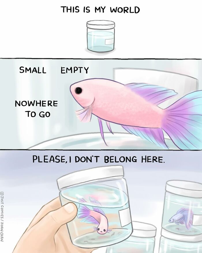 Illustration showing a small fish in a jar highlighting the sad reality of many animals confined in tiny spaces.