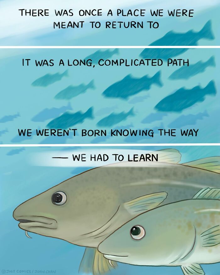 Illustration of fish swimming with text reflecting on the complicated path animals face, highlighting animal realities comic.