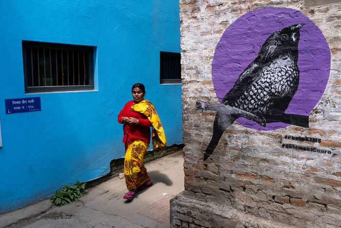 Woman in colorful sari walking past a blue wall and bird graffiti, capturing the beauty of ordinary life in street photography.