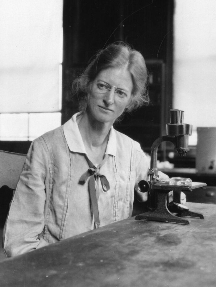 Woman scientist in early 20th century lab setting examining specimens using a vintage microscope for women scientists portrait.