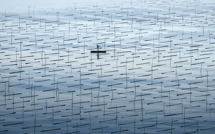 A fisherman in a small boat among reflective water and fishing poles, showcasing ocean photographer of the year imagery.