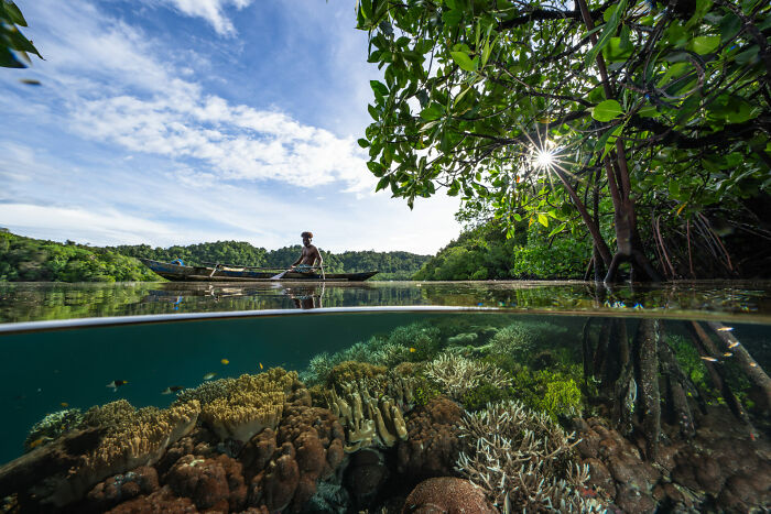 Over-under shot of a fisherman in a boat above coral reefs and marine life, ocean photographer of the year award entry.