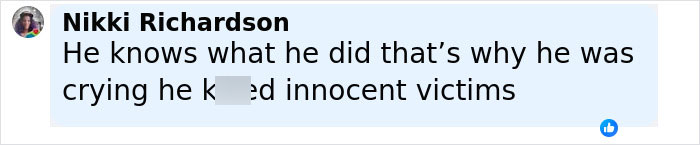 Comment by Nikki Richardson expressing that the inmate cried during painful execution involving defibrillator refusal by state. - 27