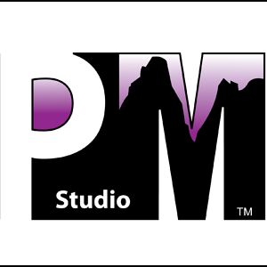 Purple Mountains Studio