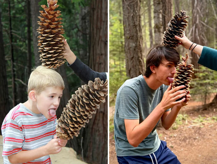 Side-by-side then-and-now nostalgic photo of a boy and young man holding large pinecones in a forest setting.