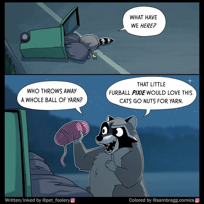 Comic panels showing a raccoon discovering a ball of yarn, highlighting relatable pet foolery moments in a humorous scene.