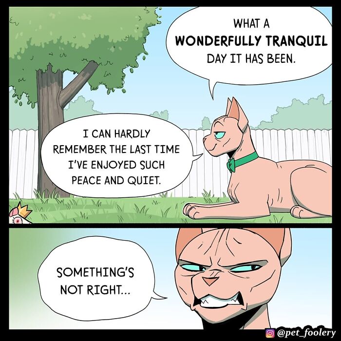 Cat relaxing in a peaceful yard with funny expression in a Pet Foolery comic strip about tranquility and suspicion.