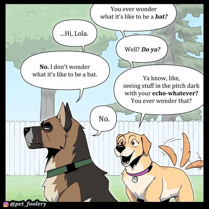 Two dogs in a backyard comic from Pet Foolery, humorously discussing what it's like to be a bat using echo location.