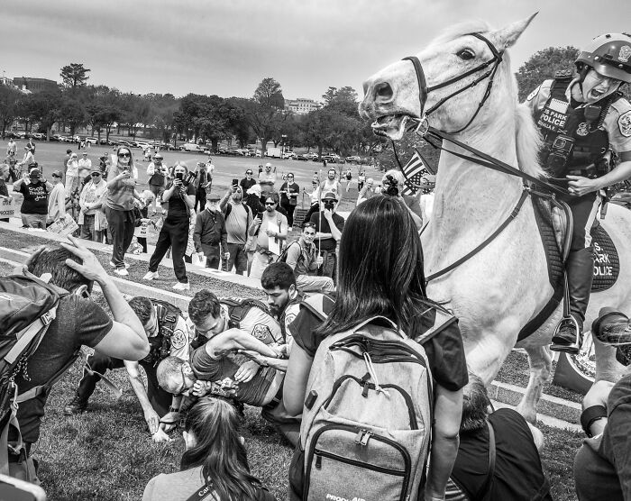 Black and white photograph capturing the hidden poetry of everyday life during a tense public protest scene.