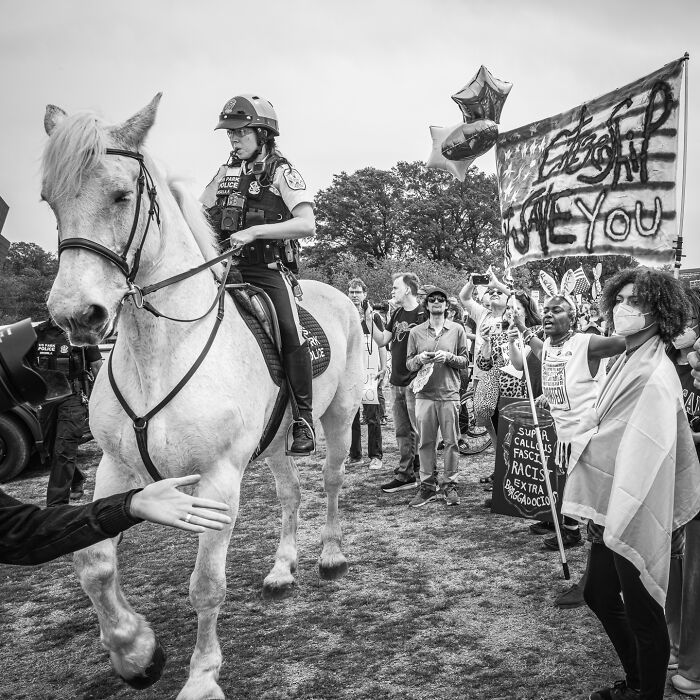 Black and white photograph capturing the hidden poetry of everyday life at a protest with mounted police and demonstrators.