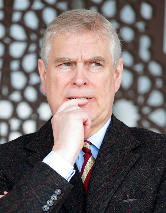 Prince Harry Responds To Claims He ‘Punched Prince Andrew In The Face’ Over Comments About Meghan - 2