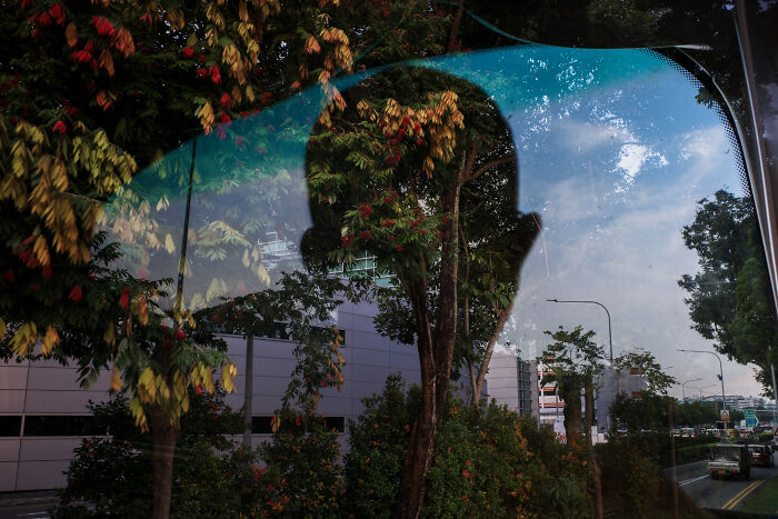Silhouette reflected on car window blending with autumn trees and a city street, creating poetic cinematic images.