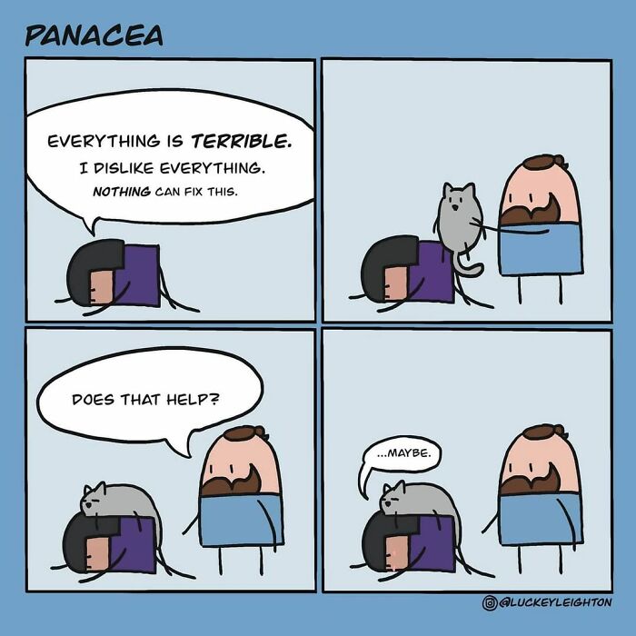 Pet comics by Trying Times Comics showing the joy and chaos of life with animals in a simple cartoon style.