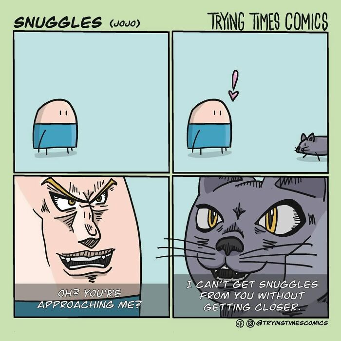 Comic strip showing playful interaction between a person and a cat, illustrating joy and chaos of life with animals.