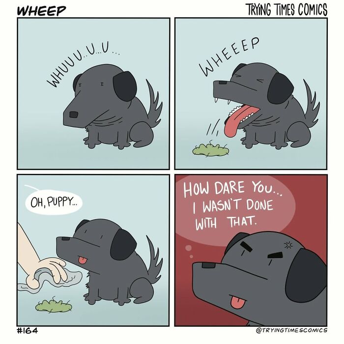 Comic of a small black dog showing chaotic and joyful behavior with a mess, illustrating life with pets by Trying Times Comics.