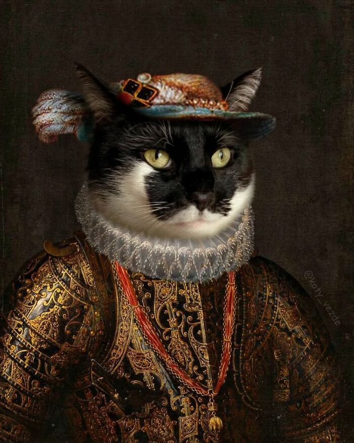 Black and white cat dressed in ornate historical armor and a feathered hat, transformed into a majestic figure portrait.