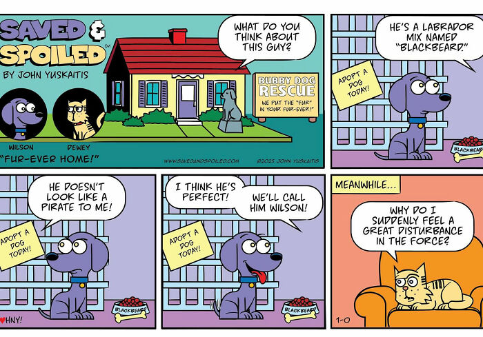 Comic strip featuring a dog and cat in daily chaos, highlighting humorous pet interactions and adventures.