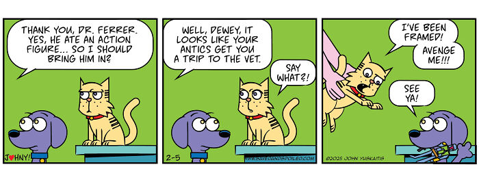 Comic strip showing a dog and cat in daily chaos, with the cat being taken to the vet after mischief.
