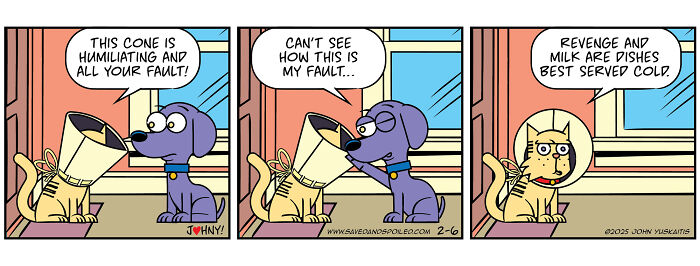 Comic strip featuring dog and cat with a cone, illustrating daily chaos between pets in humorous style.