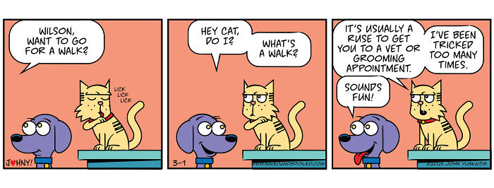 Comic strip featuring a dog and cat engaging in humorous daily chaos with playful dialogue about a walk.