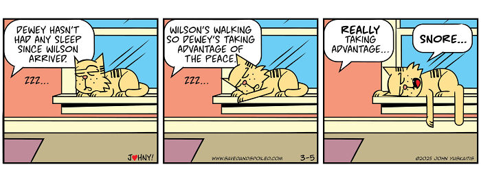 Comic strip showing a cat and dog in daily chaos, depicting sleep disruption and playful interactions.