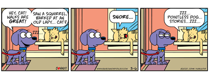 Comic strip featuring a dog and a cat humorously depicting their daily chaos and interactions indoors.