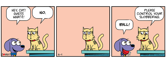 Comic strip featuring a dog and cat in daily chaos, highlighting their humorous interaction and pet dynamics.